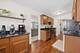 113 Parklawn, Bolingbrook, IL 60440