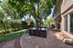 1119 W White Oak, Arlington Heights, IL 60005