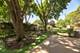 1119 W White Oak, Arlington Heights, IL 60005