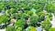 1119 W White Oak, Arlington Heights, IL 60005