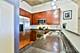 1071 W 15th Unit 314, Chicago, IL 60608