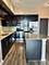 2300 S Michigan Unit 503, Chicago, IL 60616