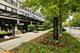 1070 W 15th Unit 253, Chicago, IL 60608
