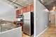 1070 W 15th Unit 253, Chicago, IL 60608