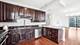 233 E 13th Unit 1001, Chicago, IL 60605