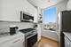 330 W Grand Unit 1906, Chicago, IL 60654