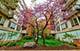 1430 S Michigan Unit 407, Chicago, IL 60605