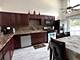 1330 Todd Farm, Elgin, IL 60123