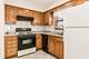 8516 N Ozanam, Niles, IL 60714