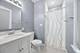 847 N Cuyler, Oak Park, IL 60302