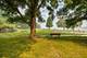 33192 N Cove, Grayslake, IL 60030