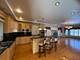 1004 Saddle, Lemont, IL 60439