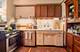 883 N Marshfield Unit 2, Chicago, IL 60622