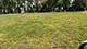 7240 Giddings, Burr Ridge, IL 60527