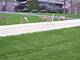 16212 Maramel, Homer Glen, IL 60491