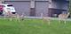 16212 Maramel, Homer Glen, IL 60491