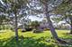 17207 Valley, Tinley Park, IL 60487