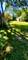 1806 Colfax Unit E, Evanston, IL 60201