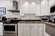 2100 N Lincoln Park West Unit 3FN, Chicago, IL 60614