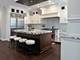 1820 Brophy, Park Ridge, IL 60068
