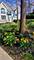 11505 S 86th, Palos Park, IL 60464