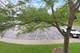 34451 N Old Walnut Unit 207, Gurnee, IL 60031