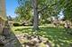 814 S Chestnut, Arlington Heights, IL 60005