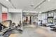 740 W Fulton Unit 1010, Chicago, IL 60661