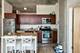 1720 S Michigan Unit 2309, Chicago, IL 60616