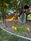 766 Providence, Crystal Lake, IL 60012