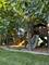 766 Providence, Crystal Lake, IL 60012