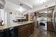 10603 Drummond, Melrose Park, IL 60164