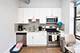 1717 S Carpenter Unit 2, Chicago, IL 60608