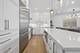 3808 N Lincoln Unit 203, Chicago, IL 60613