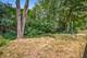 834 Swallow, Deerfield, IL 60015