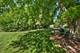 2639 Berkshire, Geneva, IL 60134