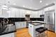 1925 W Berenice, Chicago, IL 60613