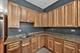 3250 W Douglas, Chicago, IL 60623