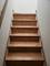 1719 S Ruble Unit 2, Chicago, IL 60616