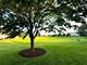 14631 Aston, Lockport, IL 60441