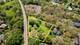 14545 Woodland, Orland Park, IL 60462
