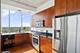 1720 S Michigan Unit 1910, Chicago, IL 60616