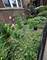 1432 W Jonquil Unit 3, Chicago, IL 60626