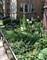 1432 W Jonquil Unit 3, Chicago, IL 60626