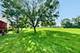 21119 W Walnut, Plainfield, IL 60544