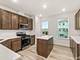 14946 S Dyer, Plainfield, IL 60544