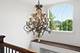16116 Sandy Bank, Homer Glen, IL 60491