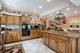 1619 N Sayre, Chicago, IL 60707