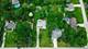 11624 195th, Mokena, IL 60448