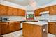 1911 Chestnut Hill, Plainfield, IL 60586